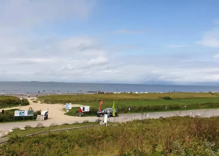 Elwetritsch An Der Nordsee Ihlienworth