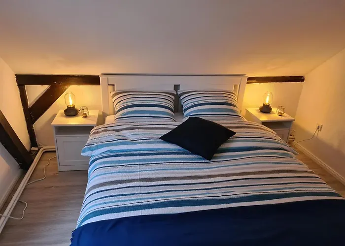 Elwetritsch An Der Nordsee * Ihlienworth